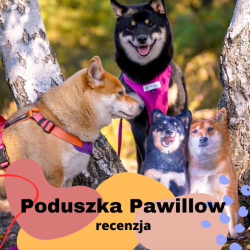 Poduszka Pawillows Premium