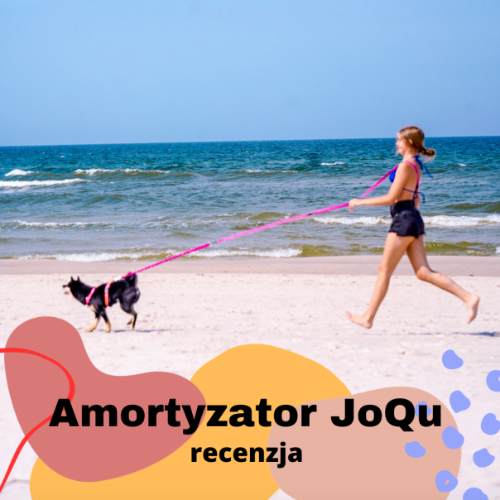 amortyzator dla psa JoQu®