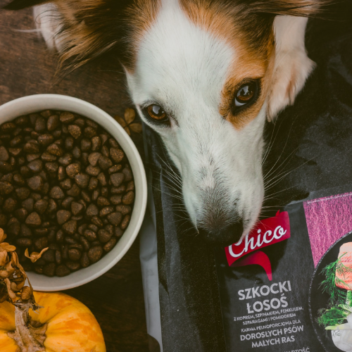 Chico Superfood