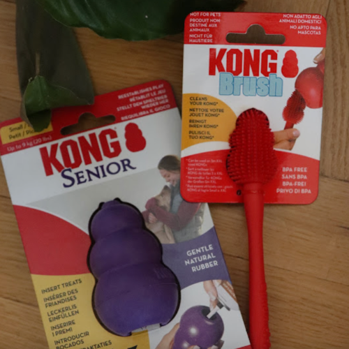 Kong Brush – szczotka do czyszczenia zabawek