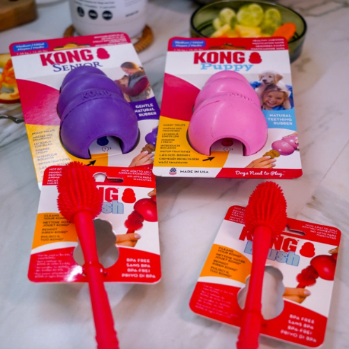Kong Brush – szczotka do czyszczenia zabawek